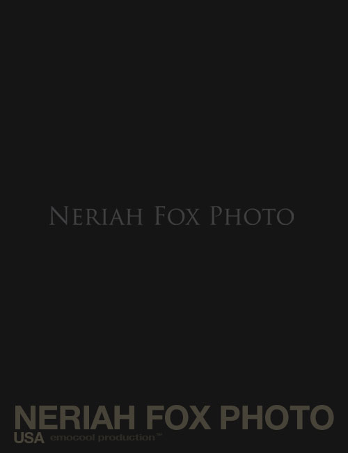 Neriah Fox Photo